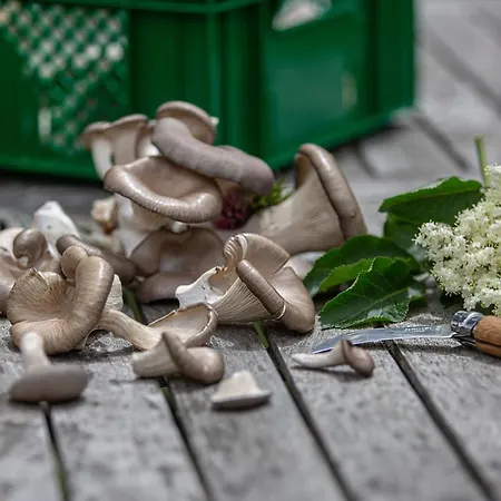 ホテル Adelwoehrer - Am Hof *