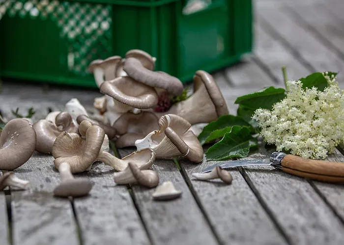 فندق Adelwoehrer - Am Hof *